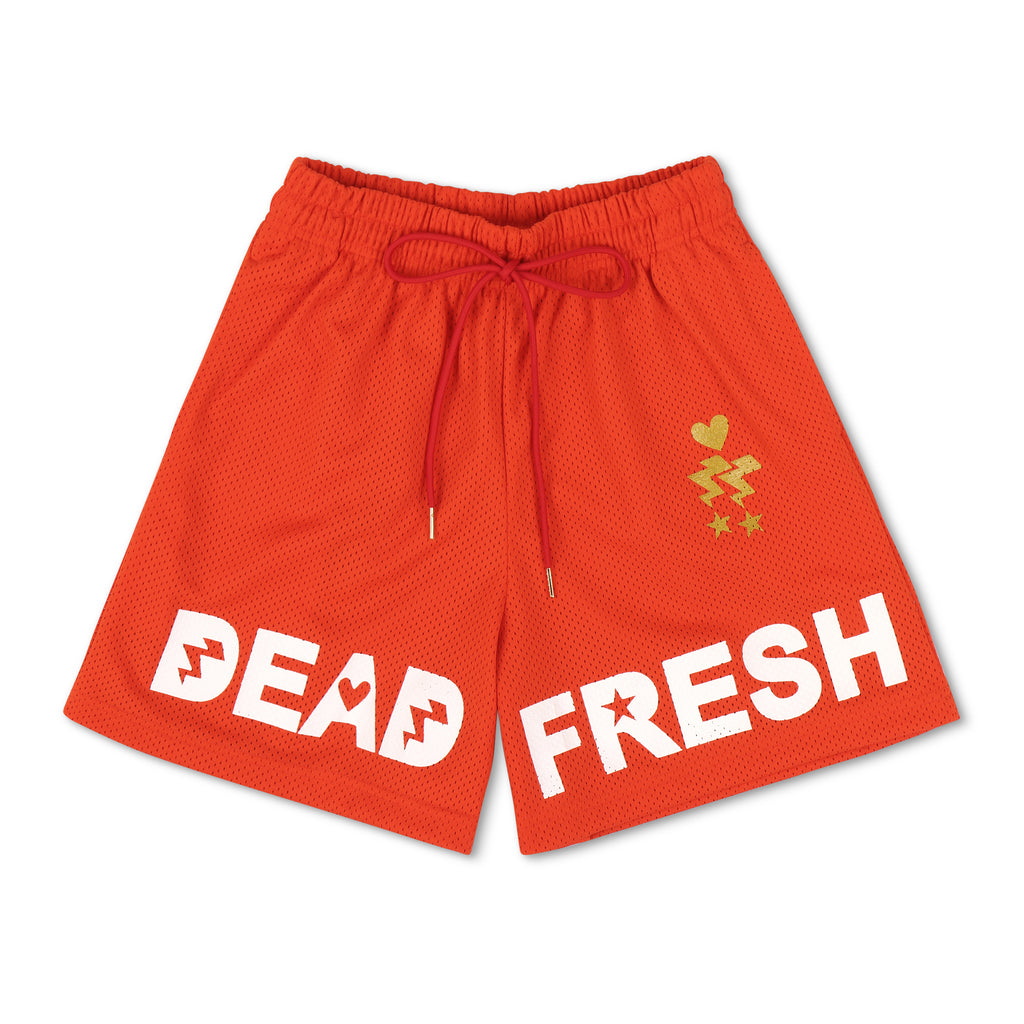 Orange Mesh Shorts — Hated Apparel